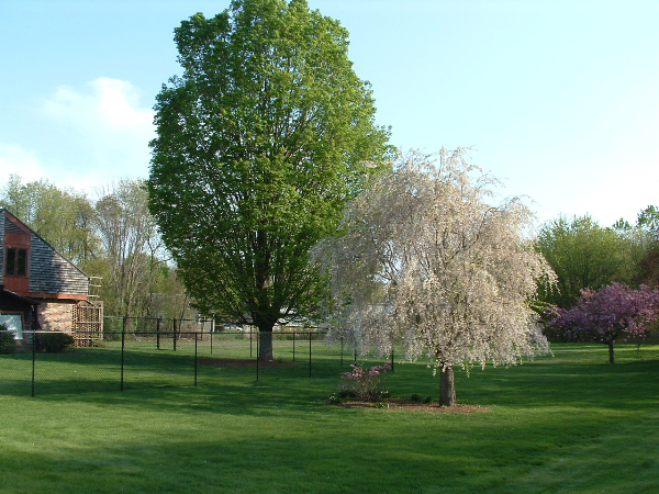65 B Bear Hole Road West Springfield, MA 01089 - Photo 1 of 1 a green field with trees in the background