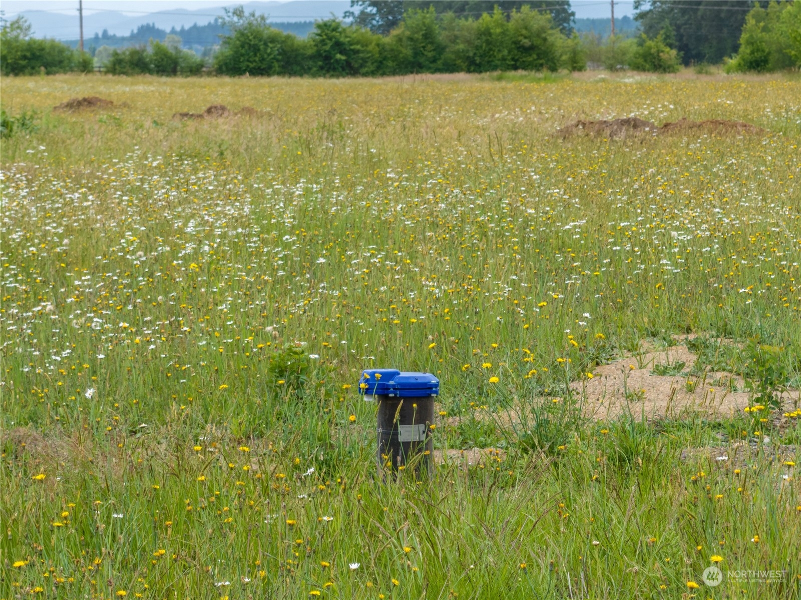 L4 Laussier Road Toledo, WA 98591 - Photo 7 of 27