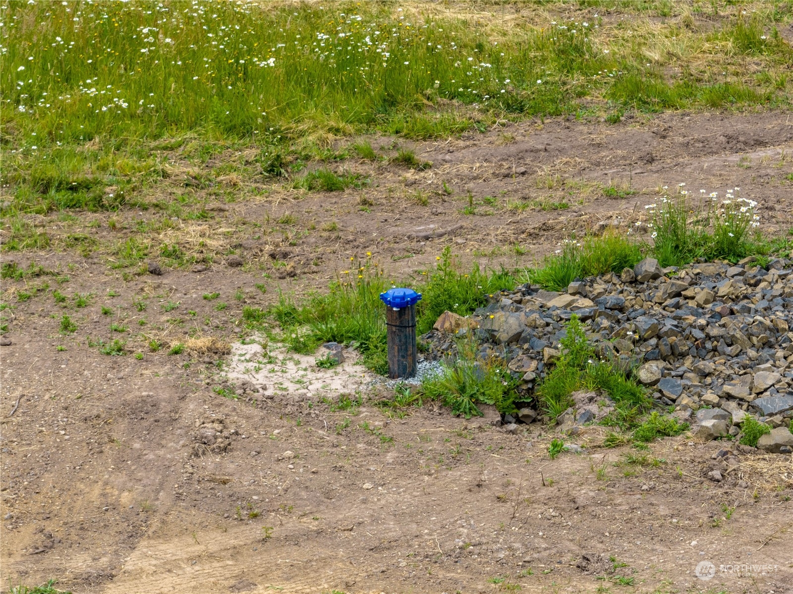 L4 Laussier Road Toledo, WA 98591 - Photo 8 of 27