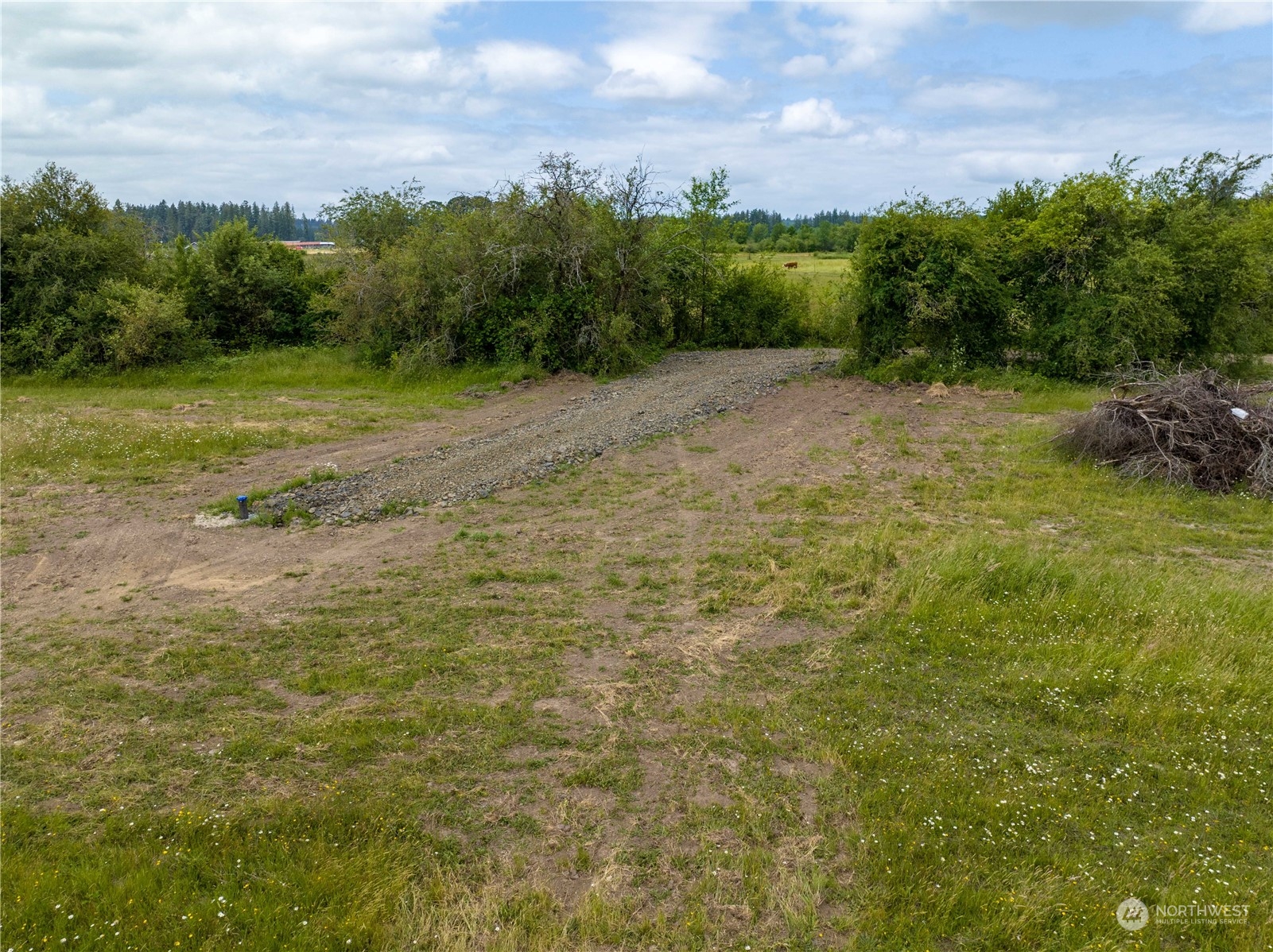 L4 Laussier Road Toledo, WA 98591 - Photo 9 of 27