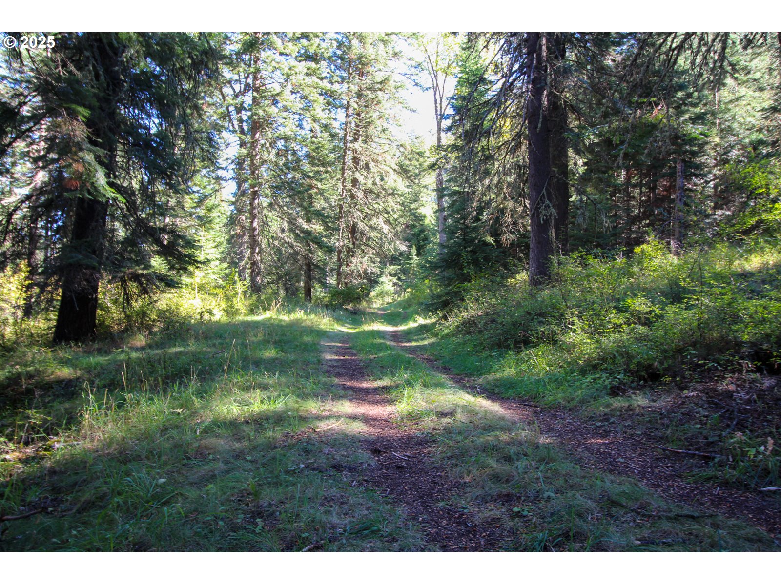 84745 Beske Lane Joseph, OR 97846 - Photo 2 of 37