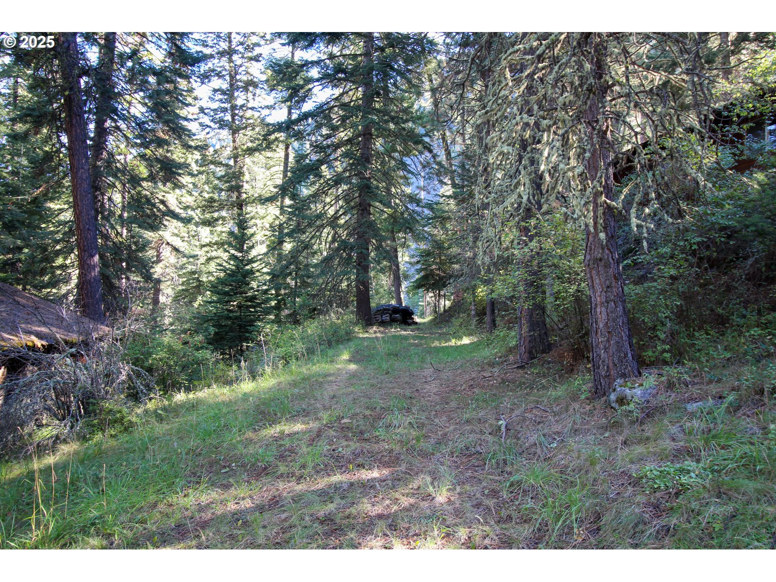 84745 Beske Lane Joseph, OR 97846 - Photo 30 of 37