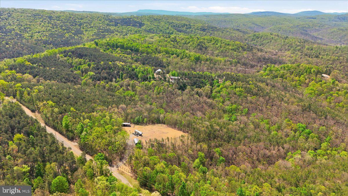 399 Buttonwood Trail Romney, WV 26757 - Photo 22 of 29 a view of a lush green forest with lush green forest