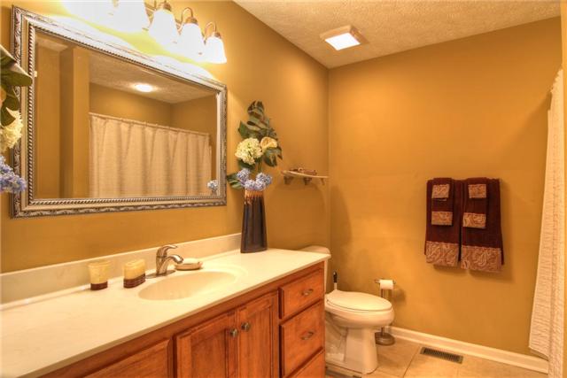 226 Crescent Road Murfreesboro, TN 37128 - Photo 12 of 12 Hall bath in the zoned bedrooms of this charming ranch home.