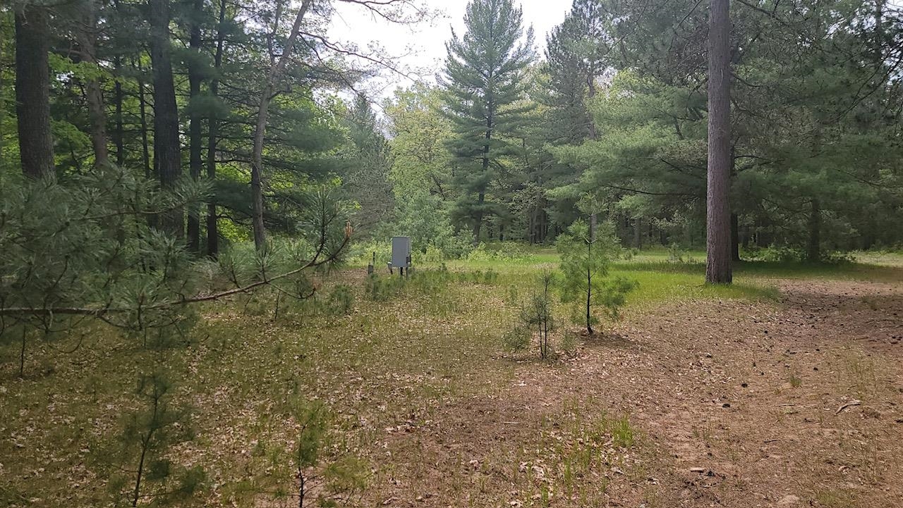 Xxx South Gladwin Road Prudenville, MI 48651 - Photo 10 of 10