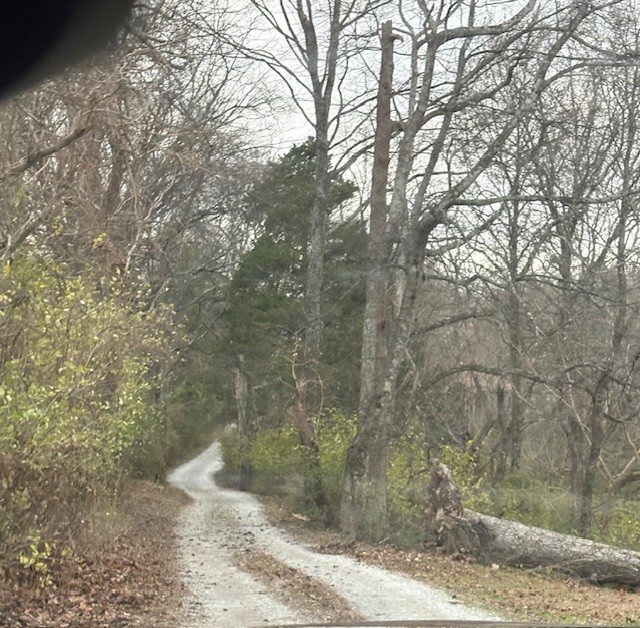 933 Old Lebanon Dirt Road Hermitage, TN 37076 - Photo 1 of 11 a view of a yard with a tree