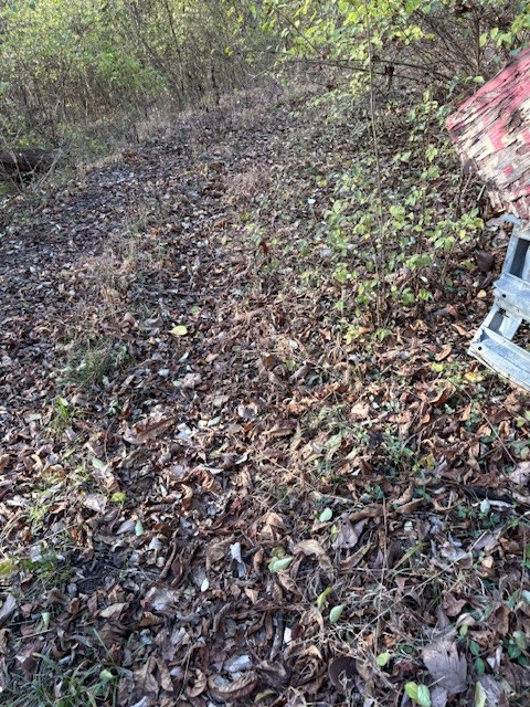 933 Old Lebanon Dirt Road Hermitage, TN 37076 - Photo 4 of 11 a view of a large tree