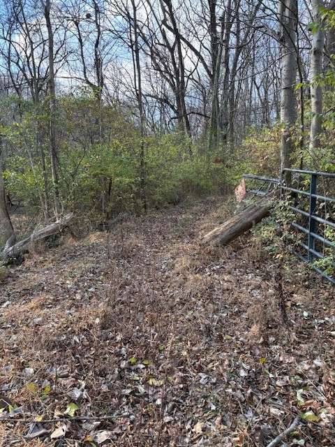 933 Old Lebanon Dirt Road Hermitage, TN 37076 - Photo 5 of 11 a view of a forest with trees
