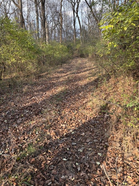933 Old Lebanon Dirt Road Hermitage, TN 37076 - Photo 7 of 11 a view of a yard