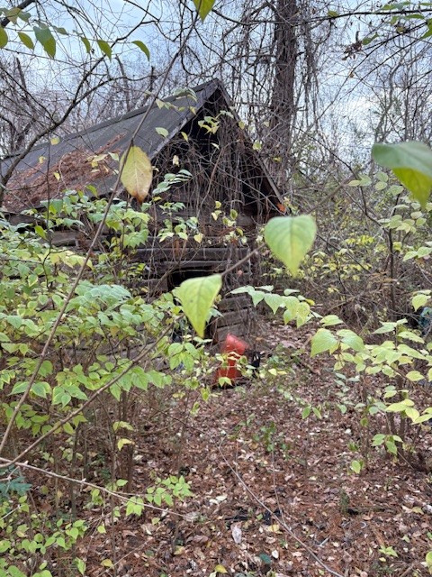 933 Old Lebanon Dirt Road Hermitage, TN 37076 - Photo 9 of 11 a view of a tree in a yard