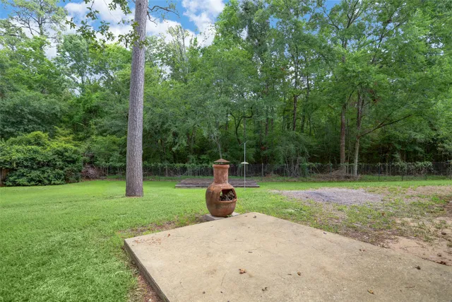 a view of a park with large trees