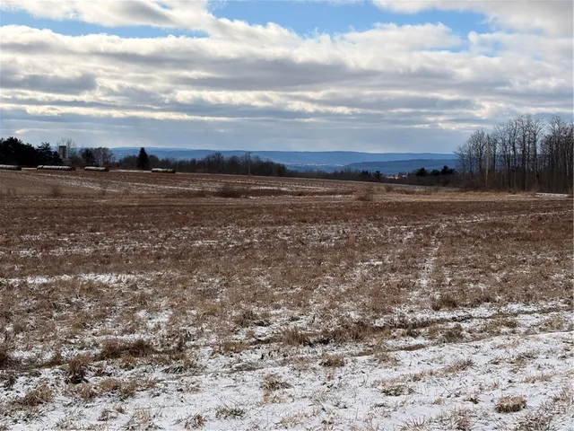 $79,900 | 0 Terry Hill Road, Horseheads, NY 14845