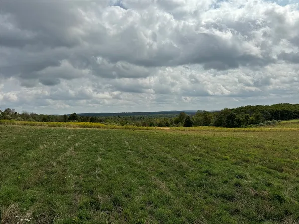 $79,900 | 0 Terry Hill Road, Horseheads, NY 14845