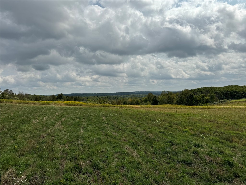 0 Terry Hill Road Horseheads, NY 14845 - Photo 3 of 9