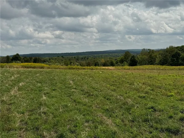 $79,900 | 0 Terry Hill Road, Horseheads, NY 14845