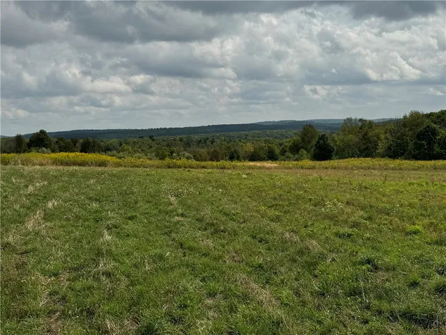 $79,900 | 0 Terry Hill Road, Horseheads, NY 14845