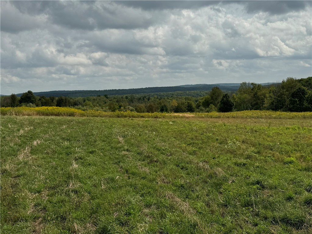 0 Terry Hill Road Horseheads, NY 14845 - Photo 4 of 9