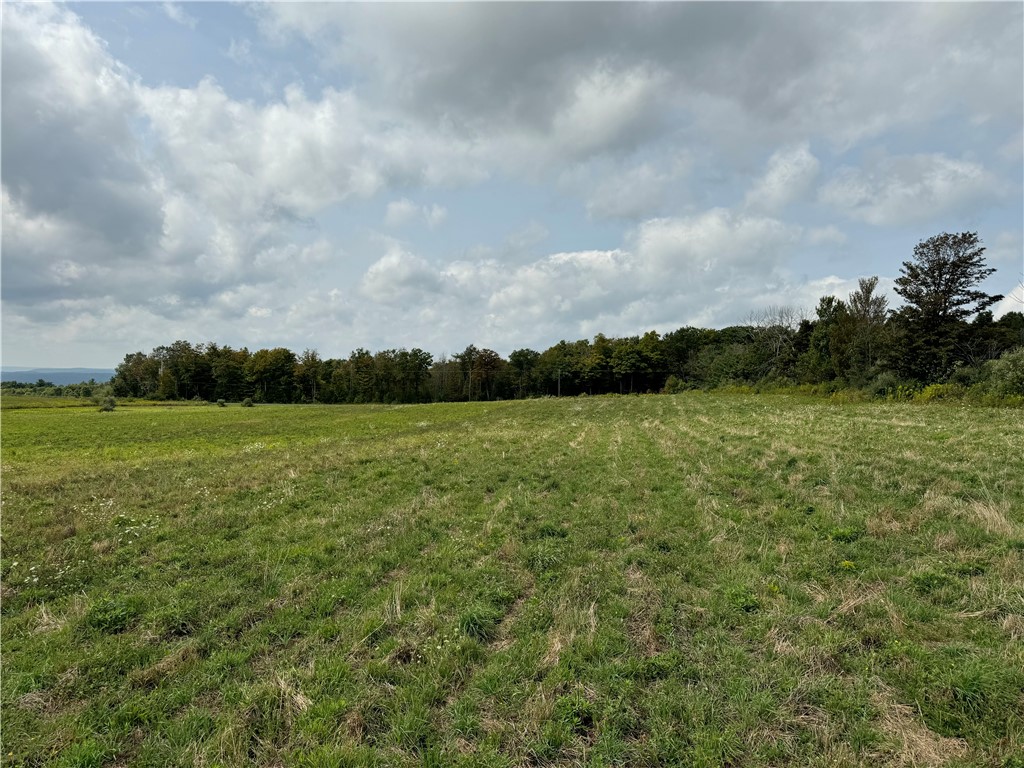 0 Terry Hill Road Horseheads, NY 14845 - Photo 5 of 9