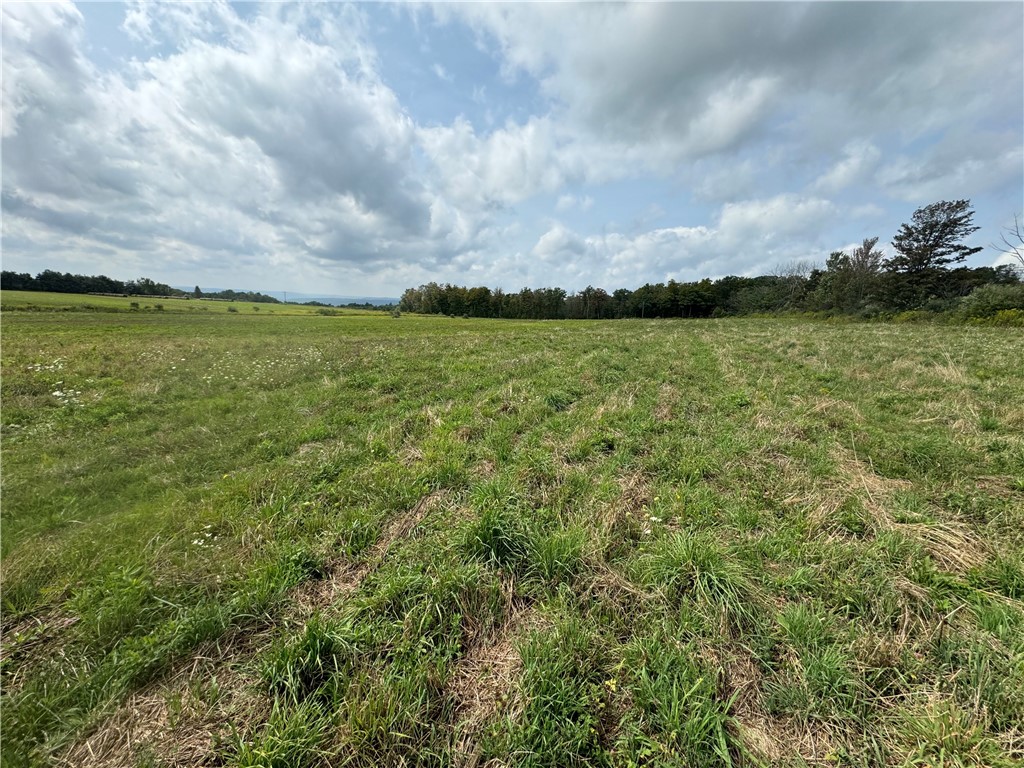 0 Terry Hill Road Horseheads, NY 14845 - Photo 6 of 9