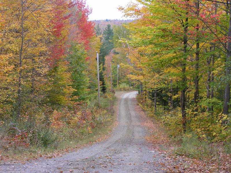 445 Varnum Pond Road Temple, ME 04984 - Photo 21 of 35 Land/Lot.
