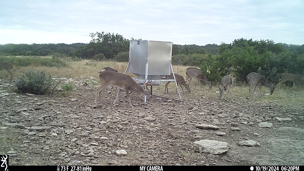 252 Elrincon Road Mountain Home, TX 78058 - Photo 29 of 29