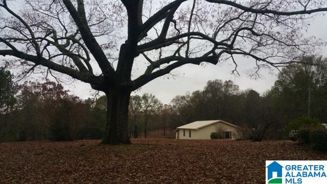 250 Nixon Road Cropwell, AL 35054 - Photo 36 of 49