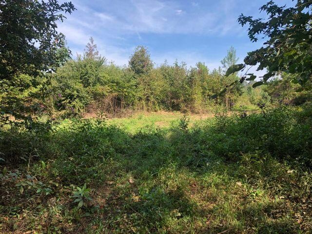 15 Athens Road Delano, TN 37325 - Photo 11 of 19