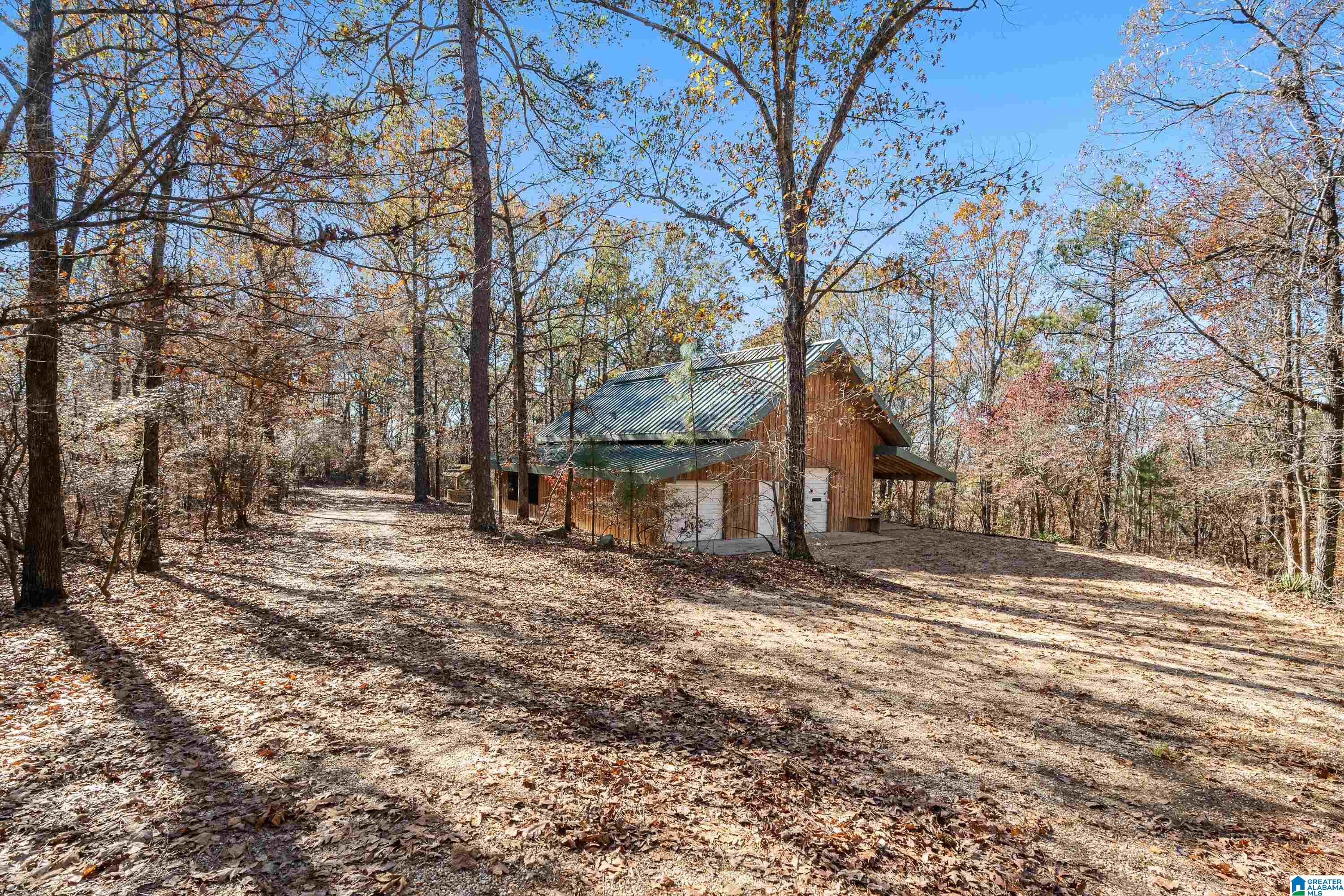 0 Pumpkin Hollow Road Sterrett, AL 35147 - Photo 38 of 55