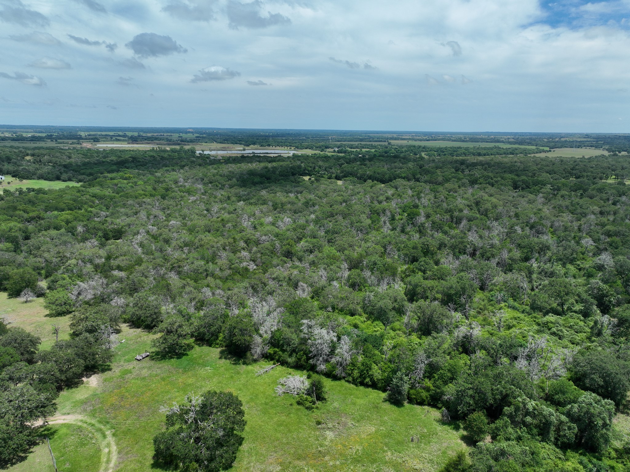 3233 Farm To Market 3233 Road La Grange, TX 78945 - Photo 5 of 18 Aerial overview of property's location with a forest