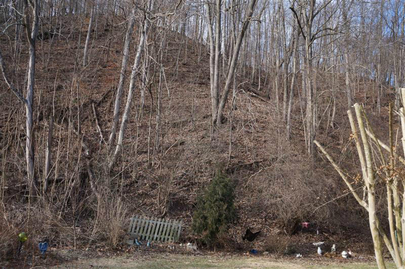 587 Brake Road Elliston, VA 24087 - Photo 22 of 23 Woods