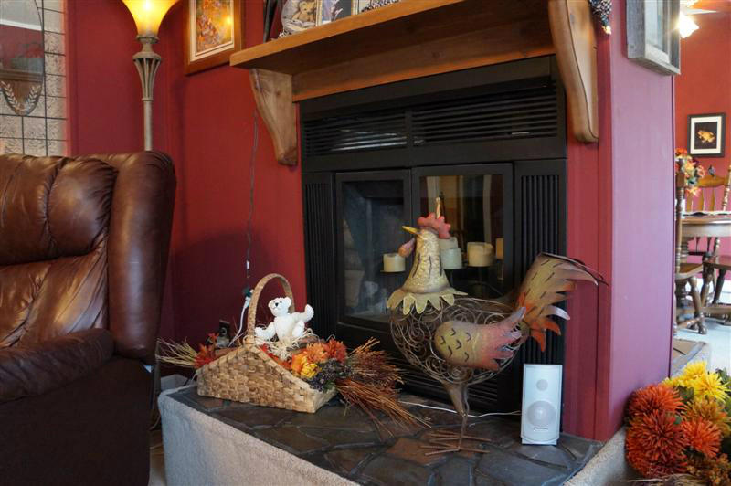 587 Brake Road Elliston, VA 24087 - Photo 7 of 23 Fireplace
