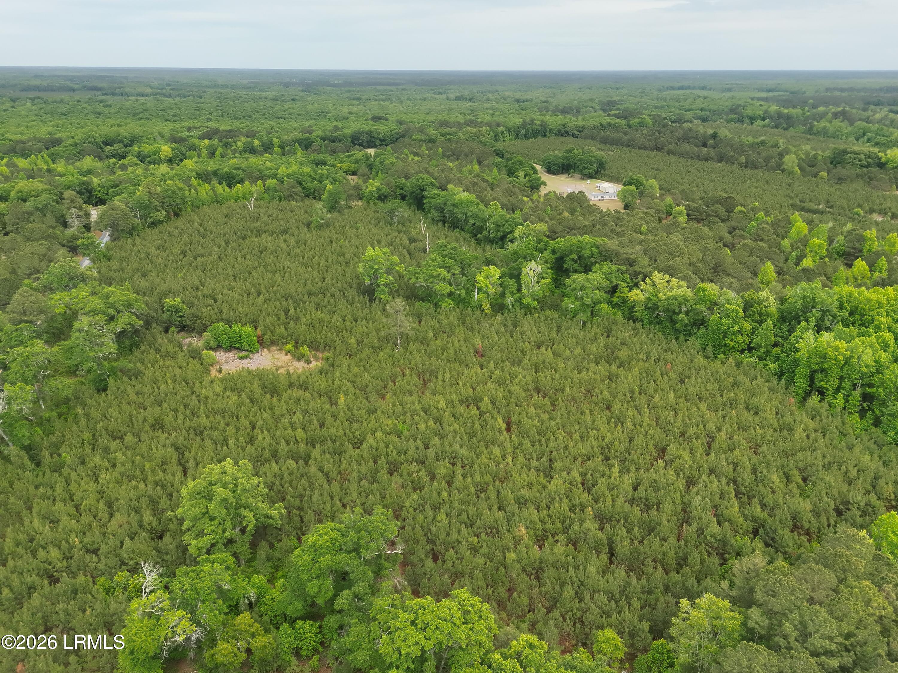 Tbd Tbd Ulmer Road Fairfax, SC 29827 - Photo 2 of 5 DJI_20260428153232_0002_V