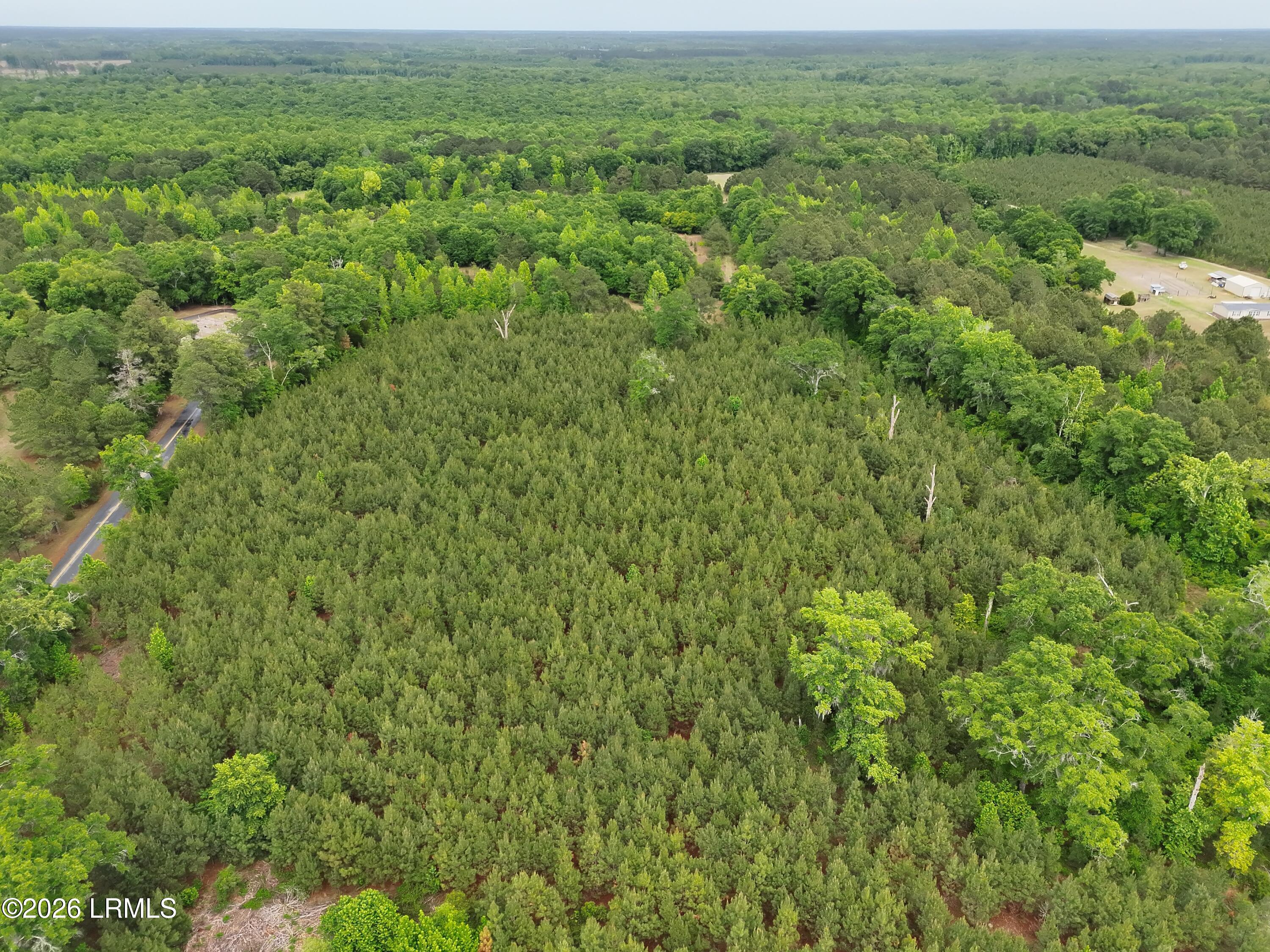 Tbd Tbd Ulmer Road Fairfax, SC 29827 - Photo 3 of 5 DJI_20260428153247_0003_V