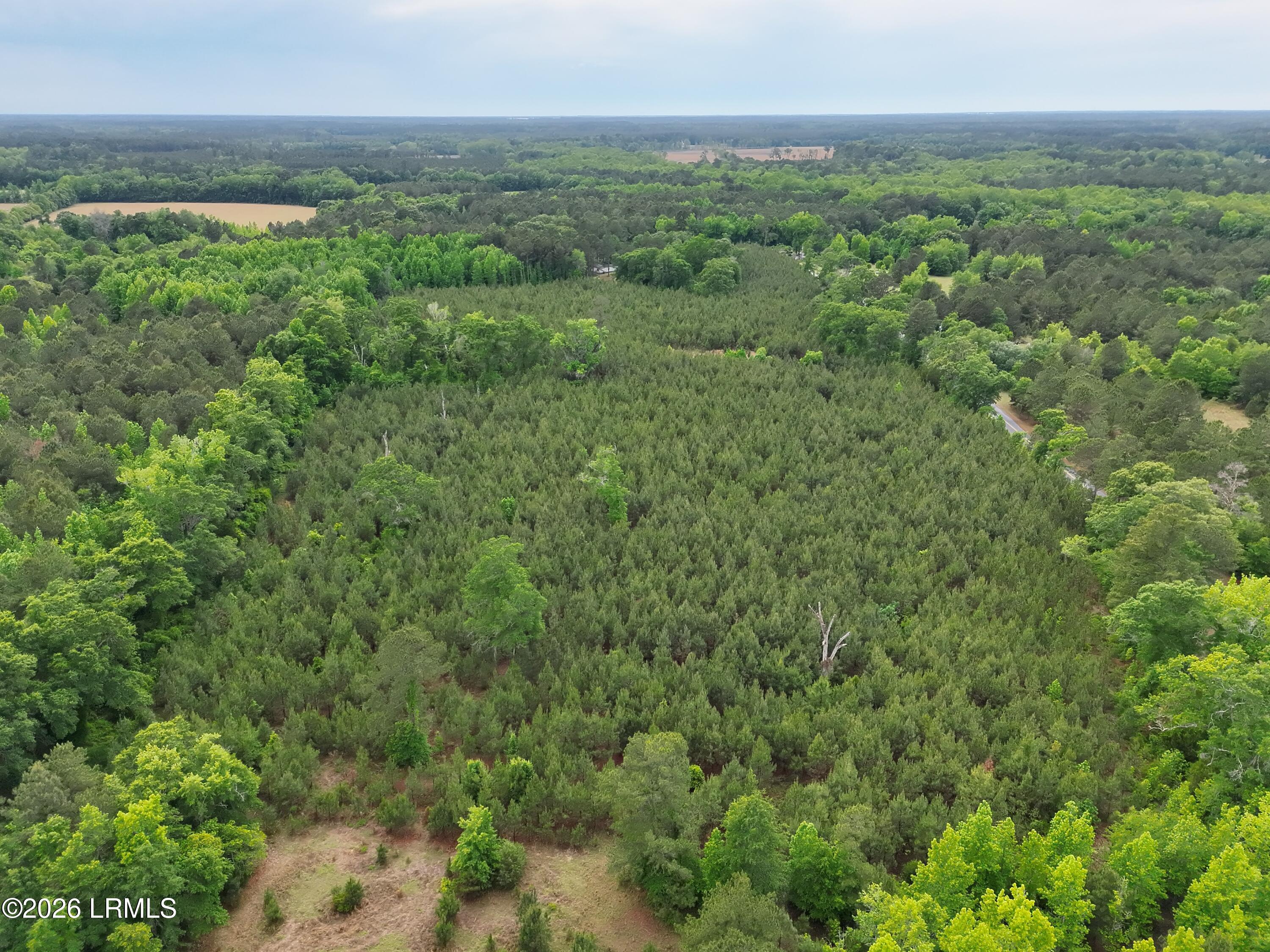 Tbd Tbd Ulmer Road Fairfax, SC 29827 - Photo 4 of 5 DJI_20260428153326_0004_V