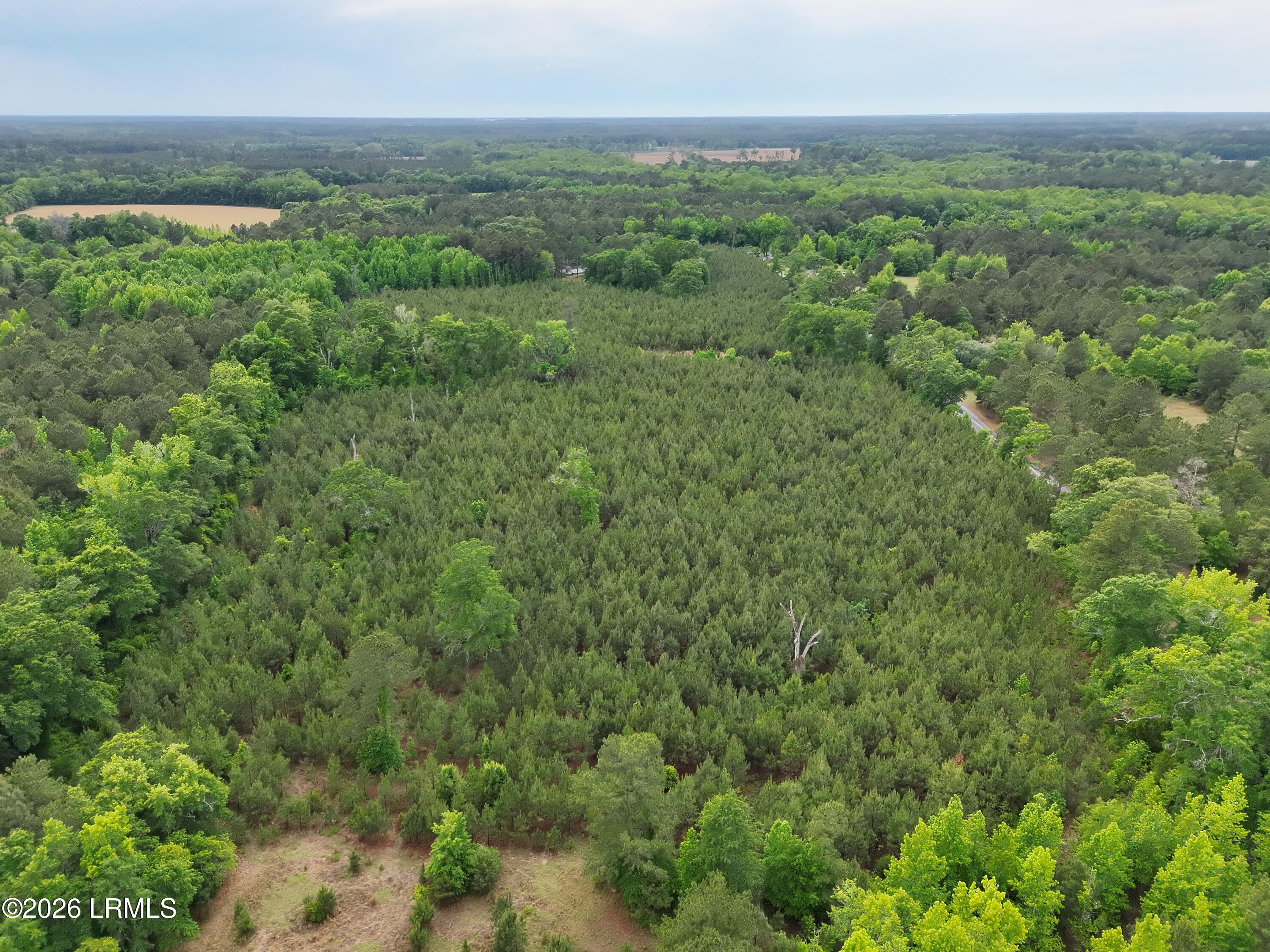 Tbd Tbd Ulmer Road Fairfax, SC 29827 - Photo 5 of 5 DJI_20260428153328_0005_V