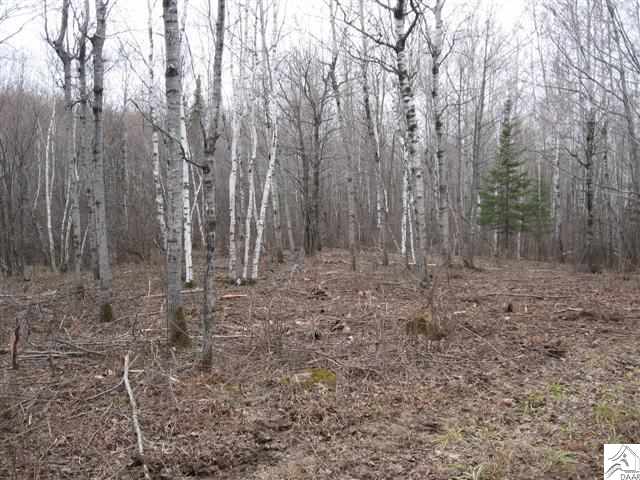5357 Dickerman Road Saginaw, MN 55779 - Photo 1 of 5 Gallery Image 1