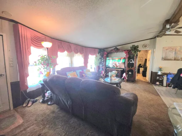 a bed room with furniture and a window
