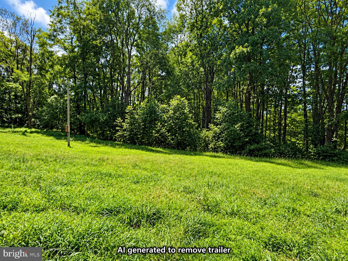 270 Retriever Road Parsons, WV 26287 - Photo 1 of 7 AI Generated photo to remove the trailer