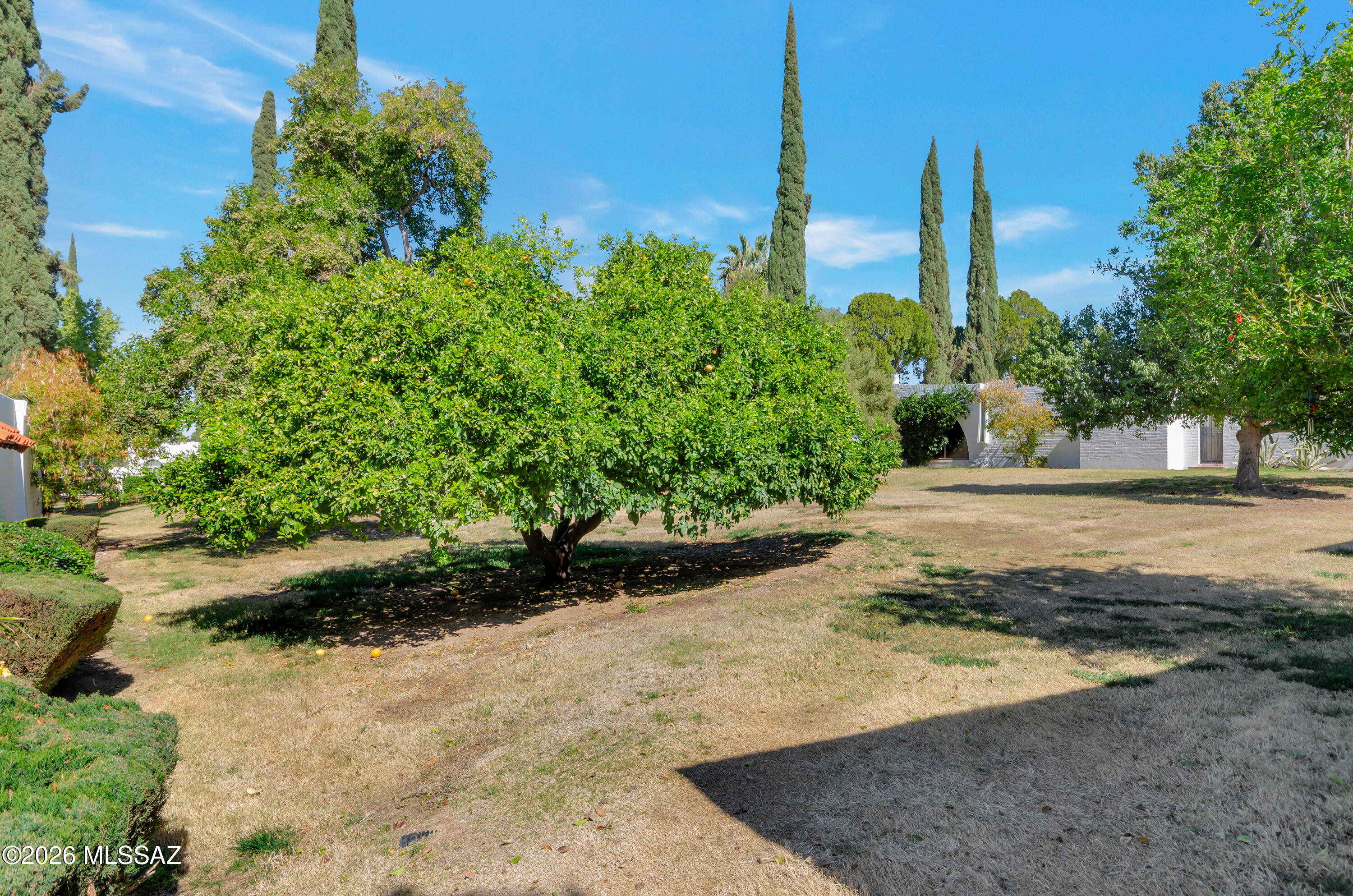 731 West Las Lomitas Road Tucson, AZ 85704 - Photo 25 of 27