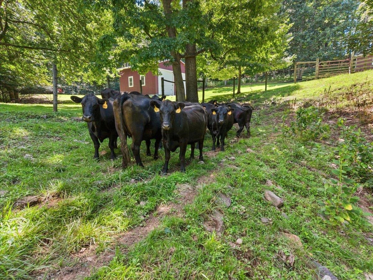 398 Penvir Road Narrows, VA 24124 - Photo 95 of 101 Gallery Image 95