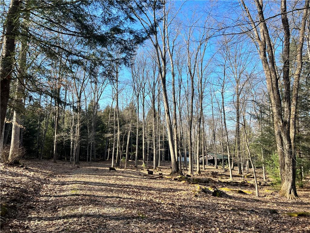 470 Hominy Ridge Acres Clarington, PA 15828 - Photo 16 of 25 Gallery Image 16