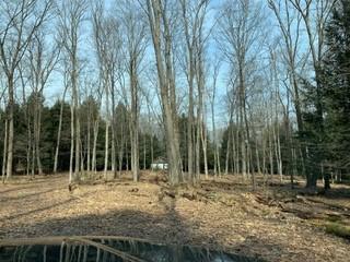 470 Hominy Ridge Acres Clarington, PA 15828 - Photo 21 of 25 Gallery Image 21