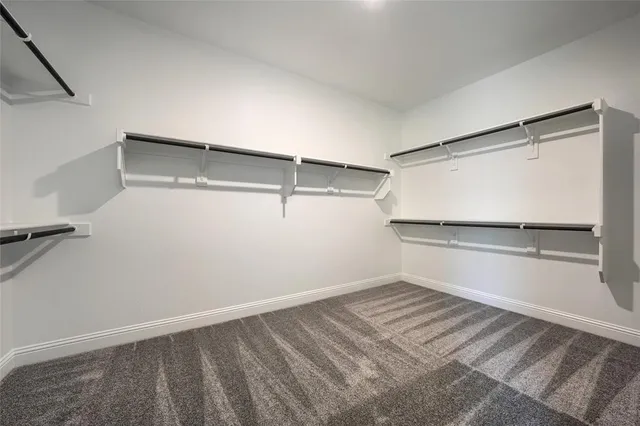 a view of a back yard