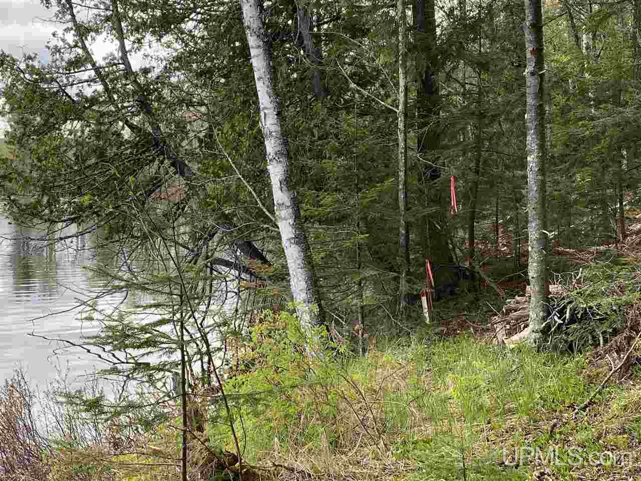 On On Chaney Cove Road, Unit LOT 1 Bessemer, MI 49911 - Photo 8 of 28