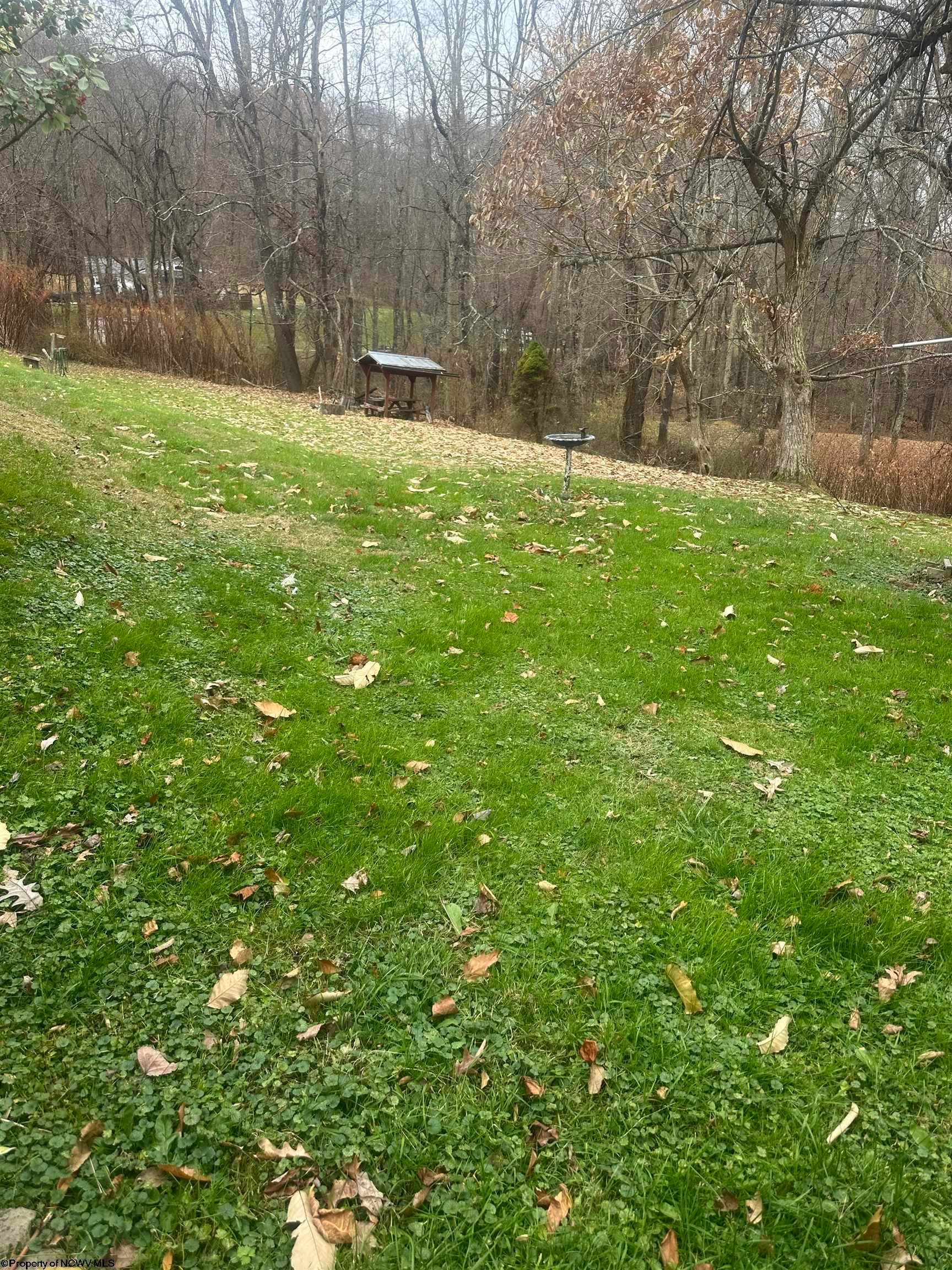6629 Webster Road Cowen, WV 26206 - Photo 19 of 23 Gallery Image 19