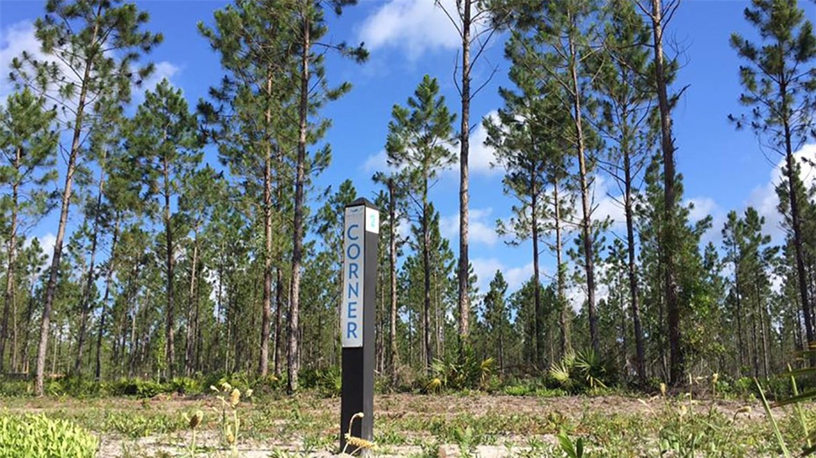 Lot 1 Lake Hampton Road Hilliard, FL 32046 - Photo 1 of 4 Gallery Image 1