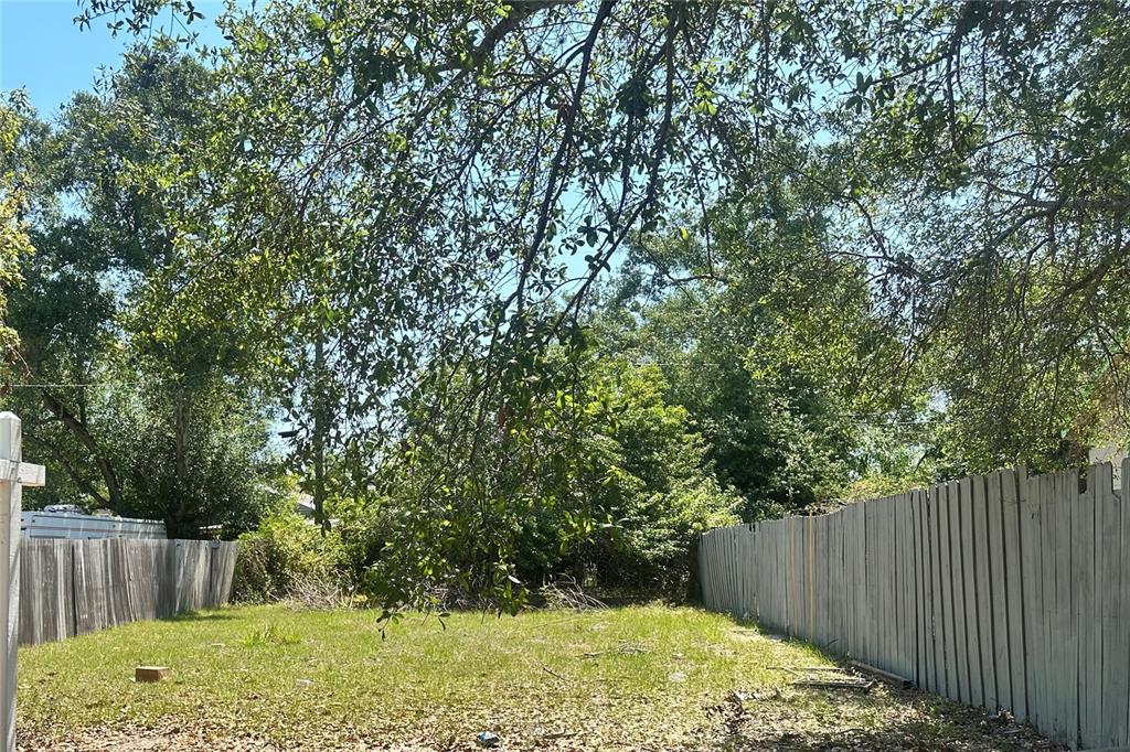 a view of backyard with tree