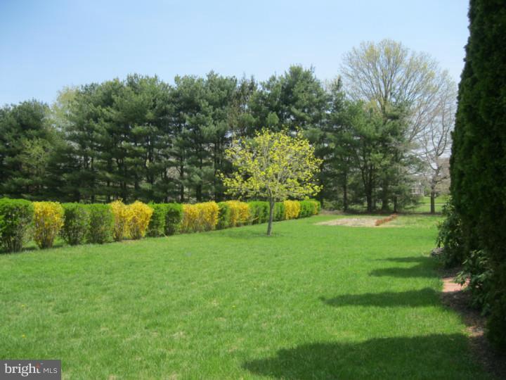 783 Westfield Road Moorestown, NJ 08057 - Photo 23 of 25