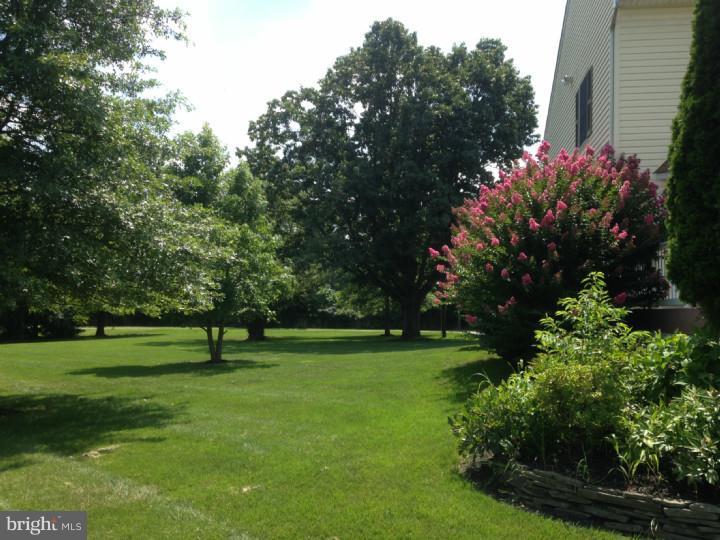 783 Westfield Road Moorestown, NJ 08057 - Photo 25 of 25