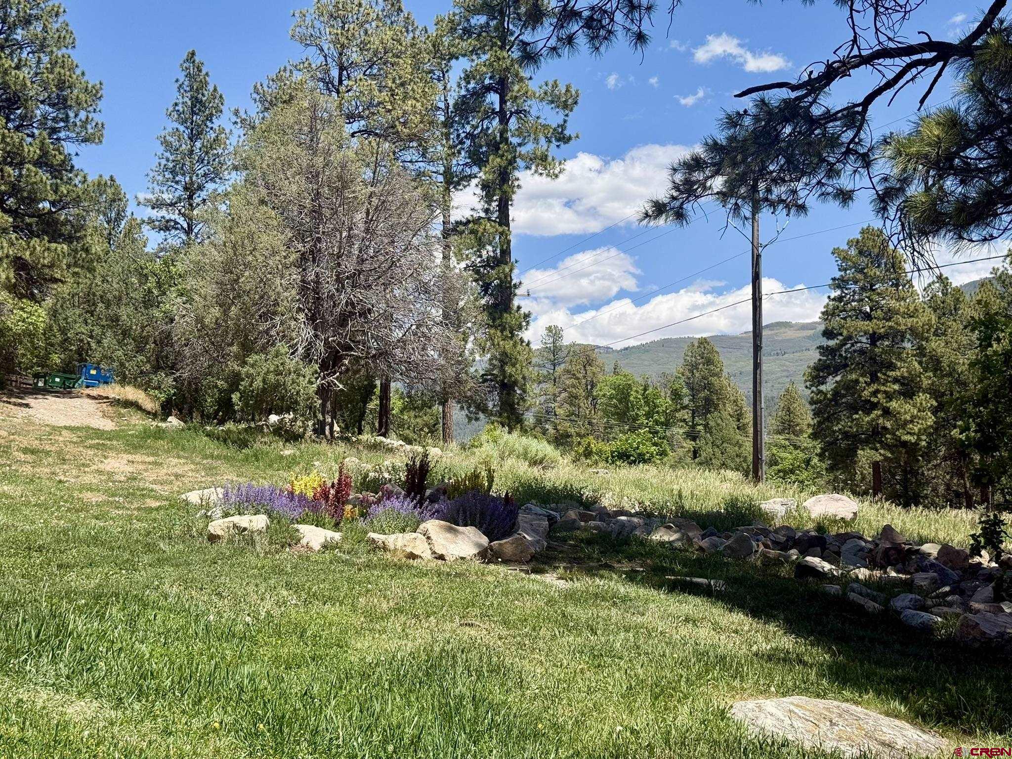 34237 Highway 550, Unit 27 Durango, CO 81301 - Photo 26 of 45 a view of backyard with green space